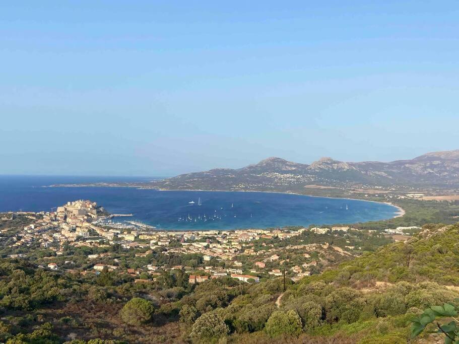 Exceptionnelle Vue Mer Calvi - Piscine - T2 Exterior foto