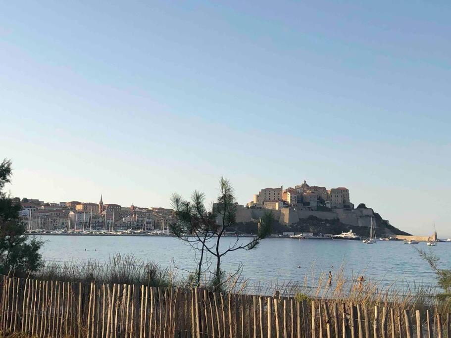 Exceptionnelle Vue Mer Calvi - Piscine - T2 Exterior foto
